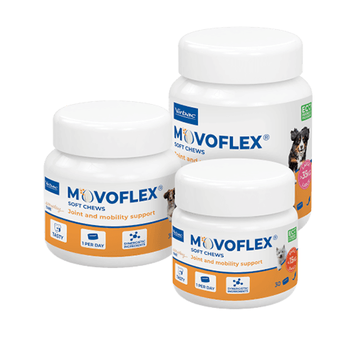 MOVOFLEX 4G PORTE MEDIO DE 15-35KG