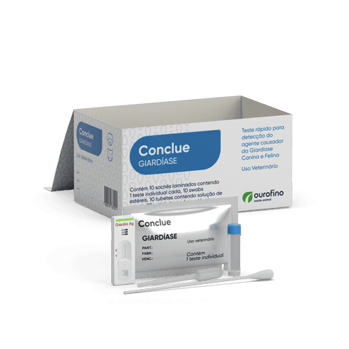 CONCLUE GIARDIASE C/10 TESTES